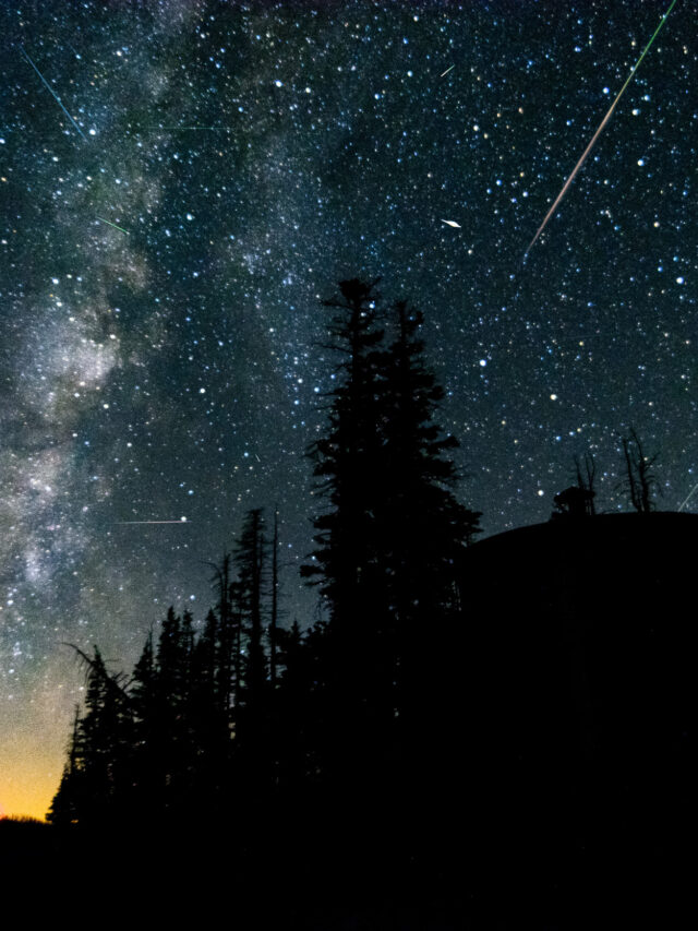 Perseids meteor shower: Exact time you can see dazzling light show from space this weekend